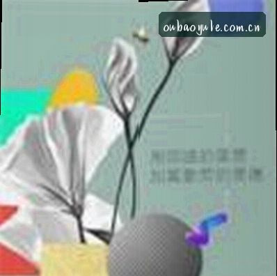 赵敏